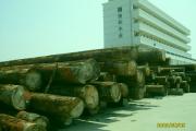 莆田市是木材科技加工之城(莆田市是木材科技加工之城吗)