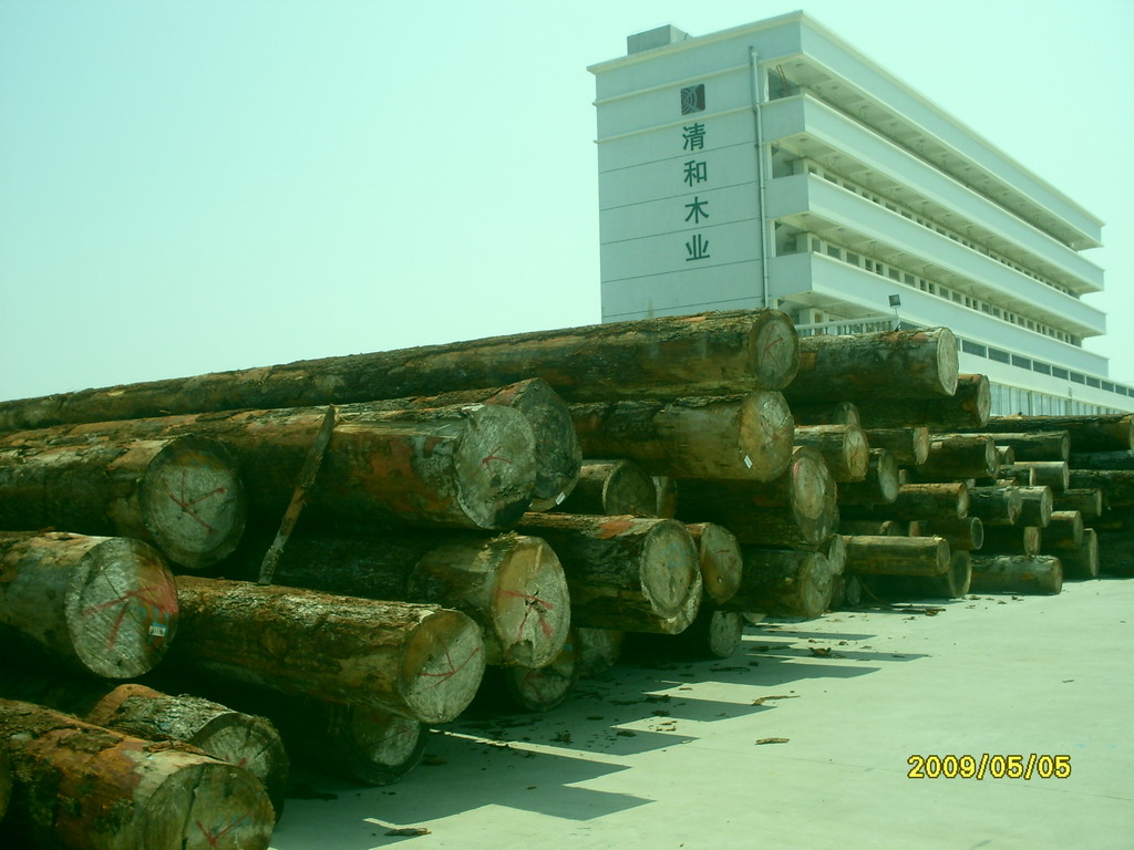 莆田市是木材科技加工之城(莆田市是木材科技加工之城吗)